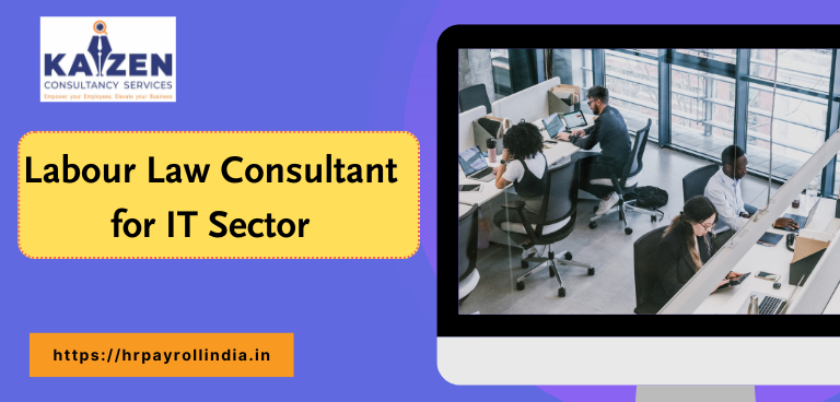 Labour law consultant for IT Sector